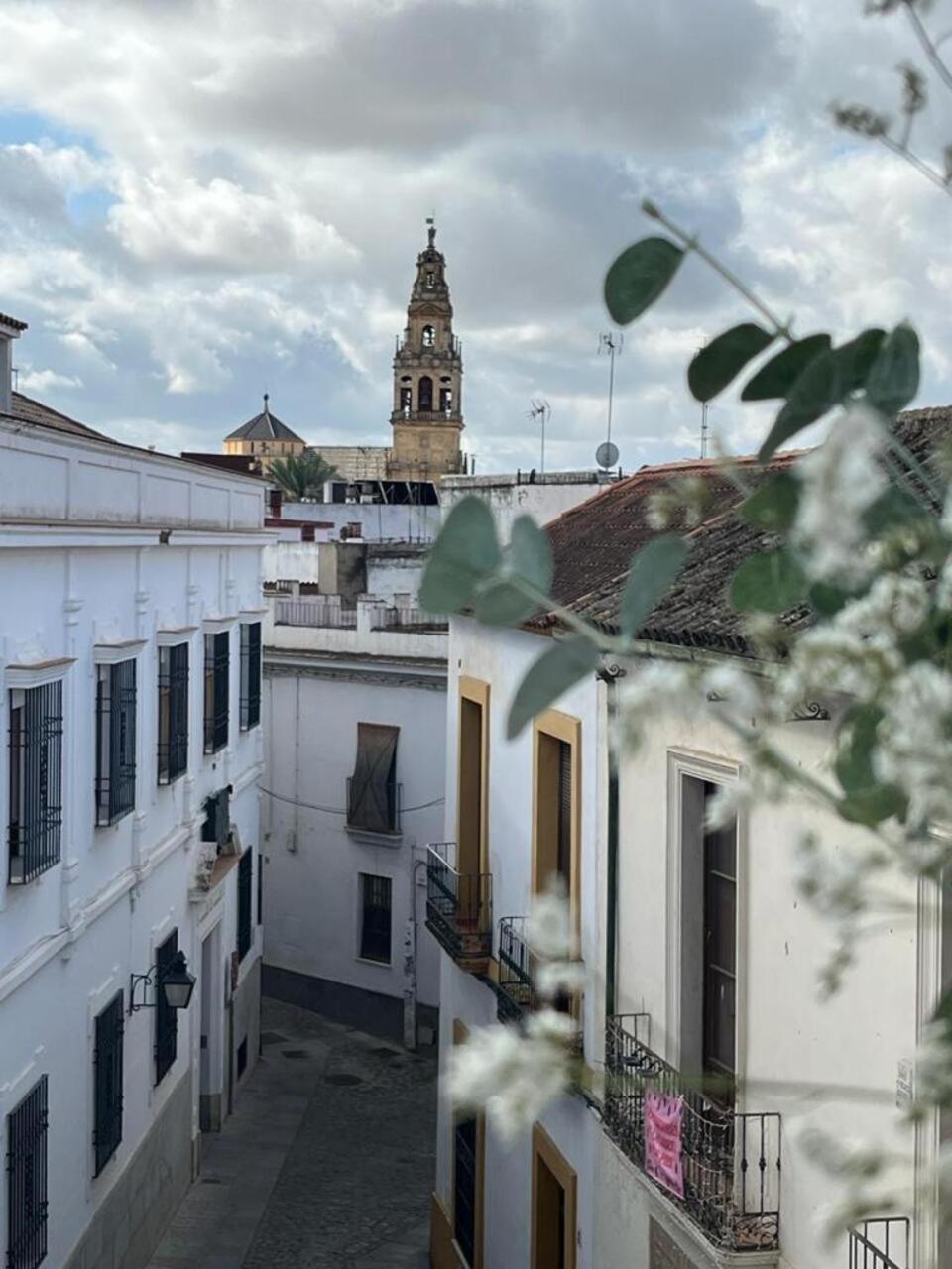 El Balcon De La Torre Córdoba Exterior foto