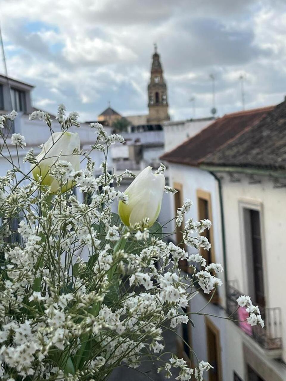 El Balcon De La Torre Córdoba Exterior foto